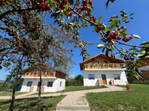 CASA MARA CHALET & SPA Bran